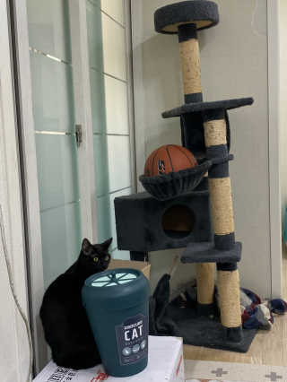 임수빈님이 올린 리뷰 사진 4