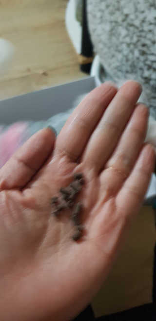 유니으니맘님이 올린 리뷰 사진 2