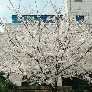 심재현님이 올린 리뷰 사진 1