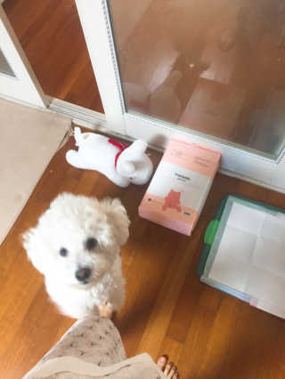 EmilyYu님이 올린 리뷰 사진 1