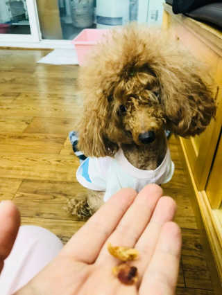 쏭님이 올린 리뷰 사진 3