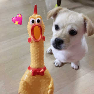 영님이 올린 리뷰 사진 1