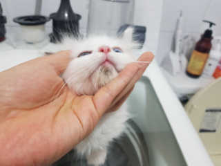 랑이엄마님이 올린 리뷰 사진 2