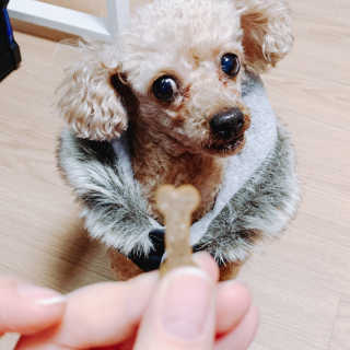 poco님이 올린 리뷰 사진 1