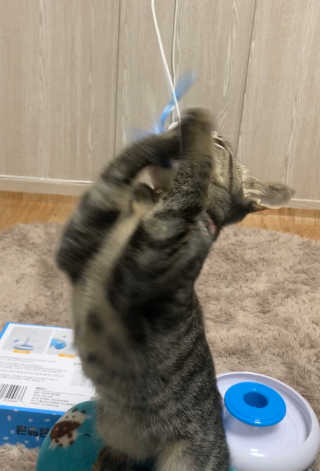 만시기집사님이 올린 리뷰 사진 3