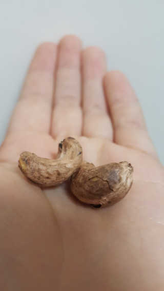 JiminKim님이 올린 리뷰 사진 2