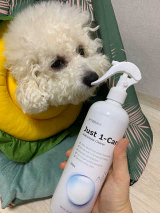 [펫토리아] 뚝딱케어 강아지 고양이 다목적세정제 — 5점을 준 리뷰어가 2020년 2월 올린 사용 사진
