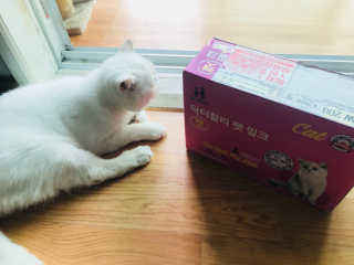 김정진님이 올린 리뷰 사진 1