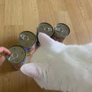 쏭지님이 올린 리뷰 사진 1