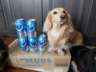 5_daks님이 올린 리뷰 사진 3