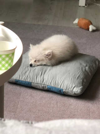 샤맘님이 올린 리뷰 사진 2