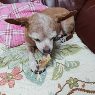 유진오님이 올린 리뷰 사진 4