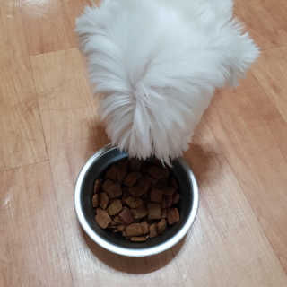 곽현정님이 올린 리뷰 사진 3