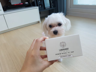 코콩이님이 올린 리뷰 사진 1