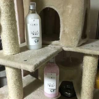 요타짱님이 올린 리뷰 사진 2