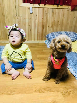 티나님이 올린 리뷰 사진 3