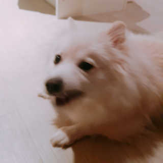 람라미님이 올린 리뷰 사진 4