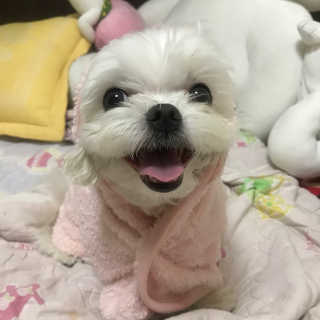 sunnnyef님이 올린 리뷰 사진 1
