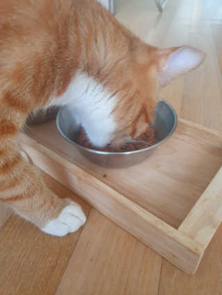 조소연님이 올린 리뷰 사진 2