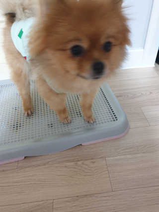 서아맘님이 올린 리뷰 사진 3