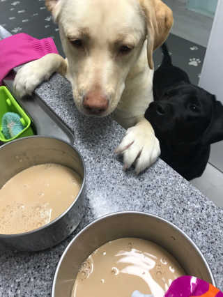 이지닝님이 올린 리뷰 사진 2