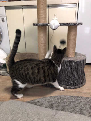 거니건이님이 올린 리뷰 사진 1
