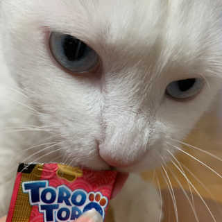 고메리님이 올린 리뷰 사진 2