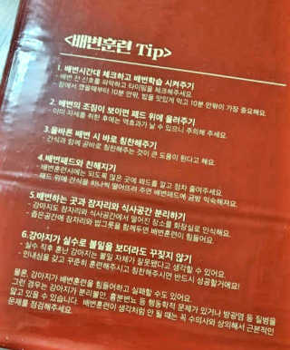 하나님이 올린 리뷰 사진 3