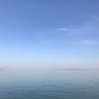 멍님이 올린 리뷰 사진 2