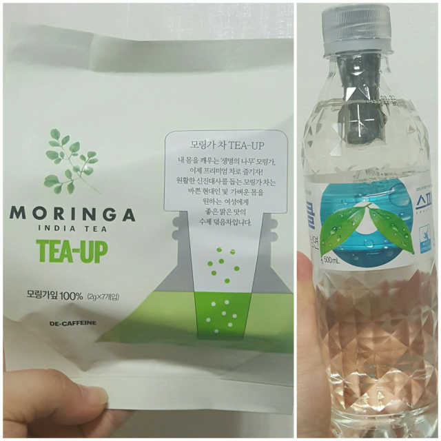 모링가 티업 리뷰 사진