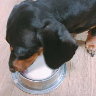 twotkdgml님이 올린 리뷰 사진 1