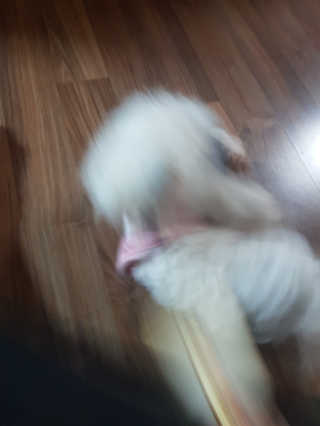 또자님이 올린 리뷰 사진 2