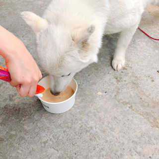 aa14님이 올린 리뷰 사진 2
