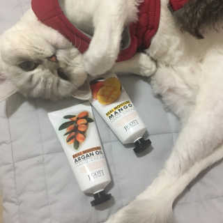 단발소녀님이 올린 리뷰 사진 3