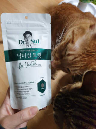 김진영님이 올린 리뷰 사진 3