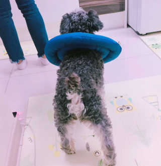 DH님이 올린 리뷰 사진 2