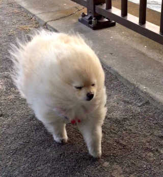 짓우님이 올린 리뷰 사진 3