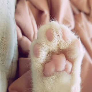 김영란님이 올린 리뷰 사진 2