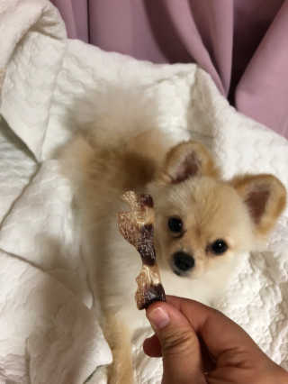 김다경님이 올린 리뷰 사진 3