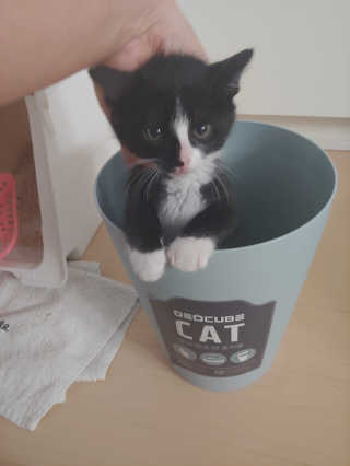 귀연정님이 올린 리뷰 사진 2