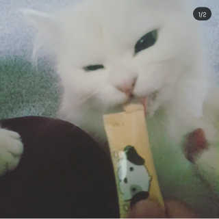 Isabelle Lee님이 올린 리뷰 사진 2