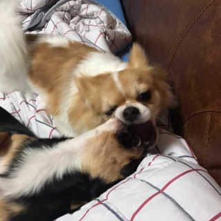 seoakim님이 올린 리뷰 사진 3