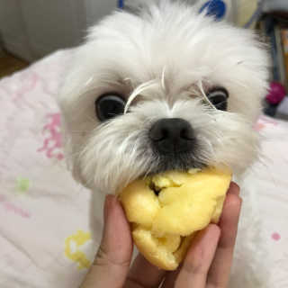 sunnnyef님이 올린 리뷰 사진 2