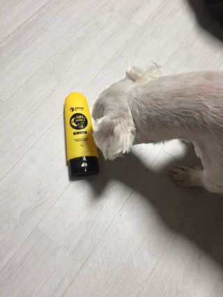 daillly님이 올린 리뷰 사진 1