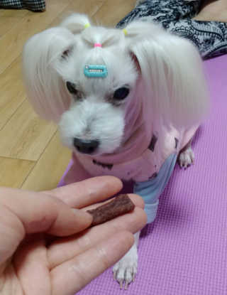 비커잠해피님이 올린 리뷰 사진 1