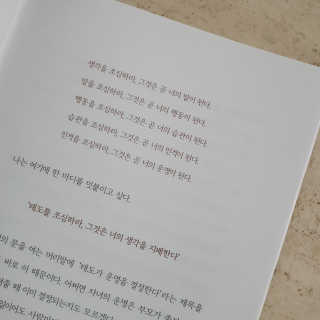 열살터울님이 올린 리뷰 사진 4