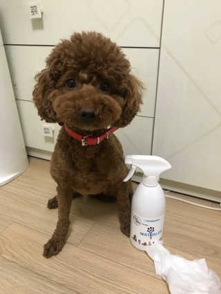 이문홍님이 올린 리뷰 사진 1