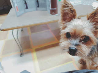 snoopy님이 올린 리뷰 사진 4