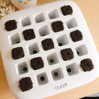 빠다님이 올린 리뷰 사진 3