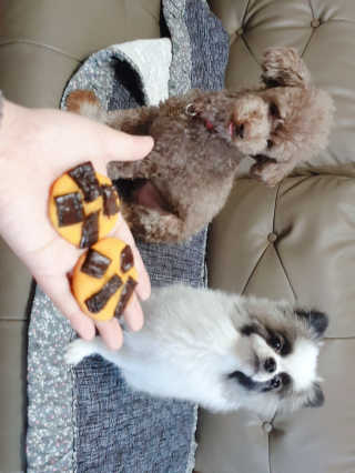 코콩님이 올린 리뷰 사진 2